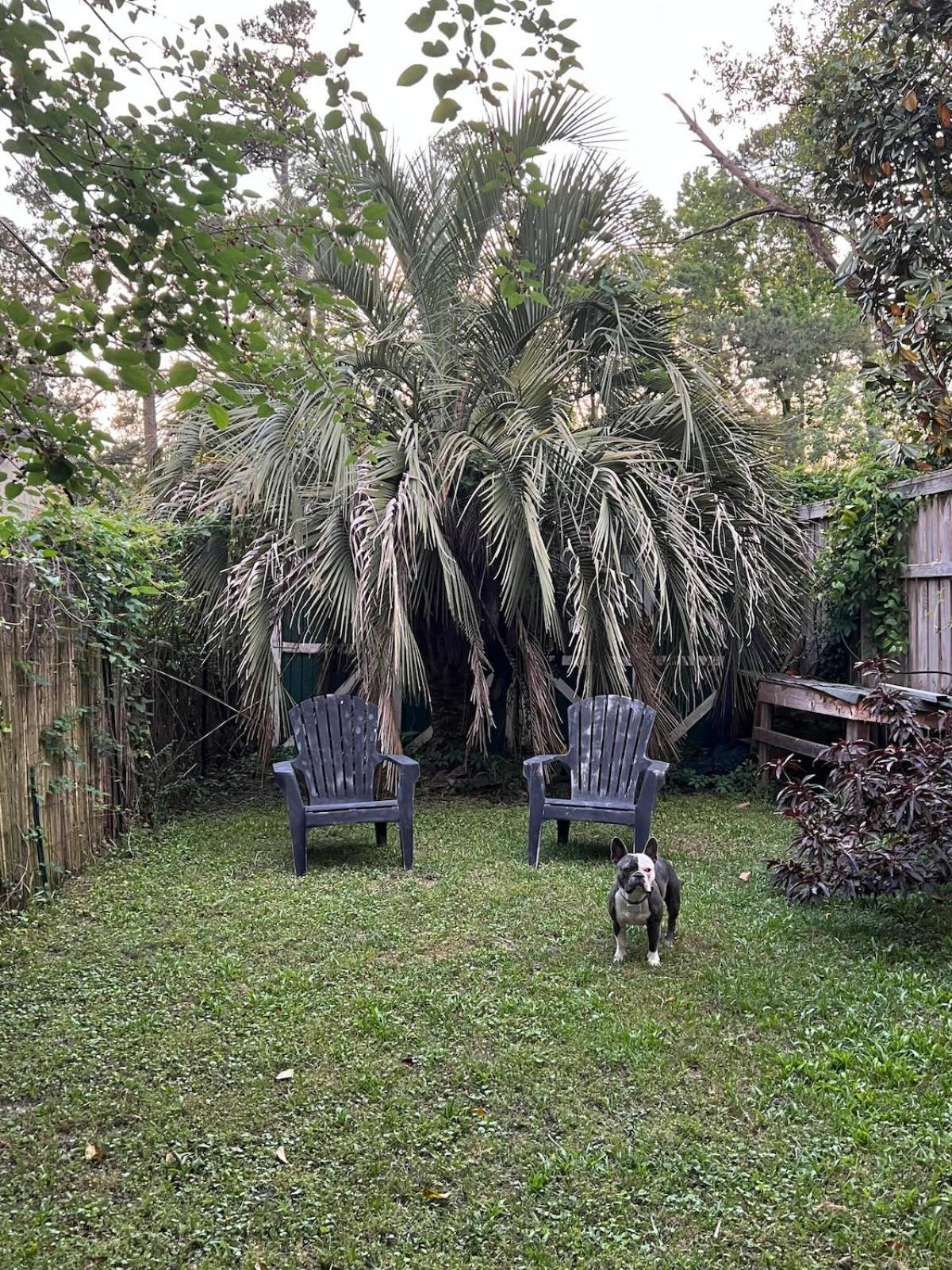 The Casita Serenely Welcomes Guests All Year Round Wilmington Exterior foto